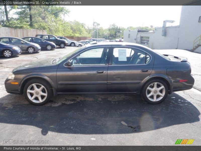 Gray Lustre Metallic / Black 2001 Nissan Maxima SE