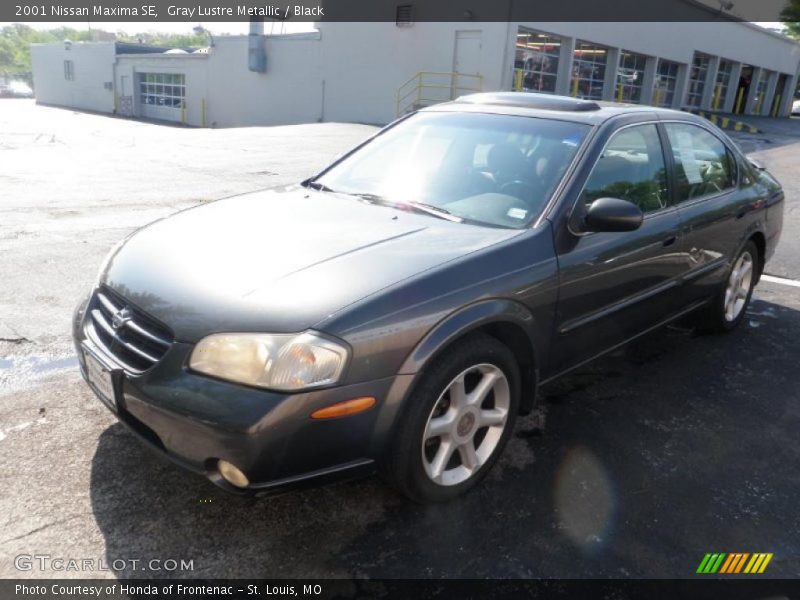 Gray Lustre Metallic / Black 2001 Nissan Maxima SE