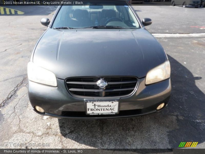 Gray Lustre Metallic / Black 2001 Nissan Maxima SE