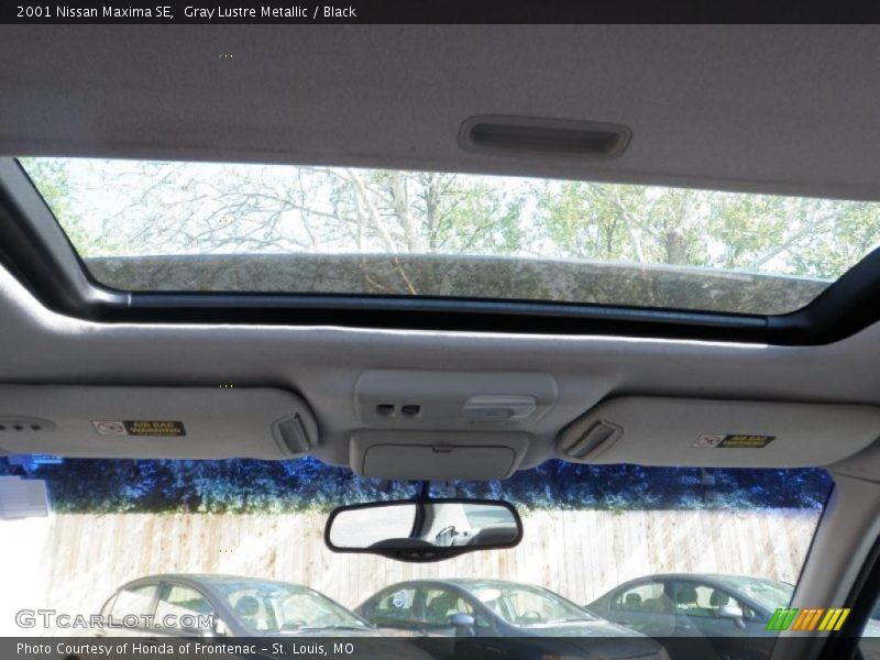 Gray Lustre Metallic / Black 2001 Nissan Maxima SE