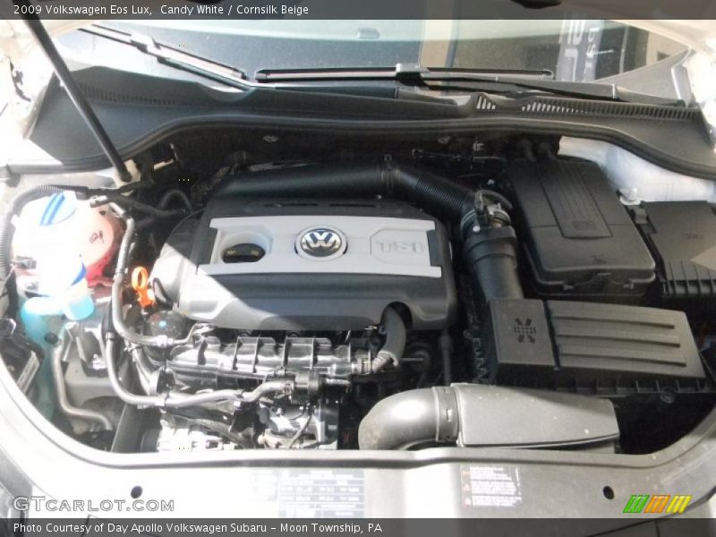 Candy White / Cornsilk Beige 2009 Volkswagen Eos Lux