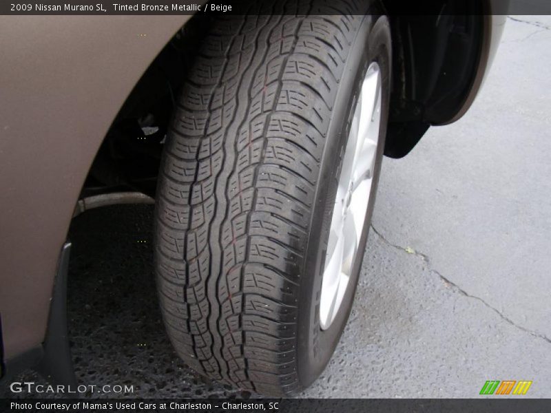 Tinted Bronze Metallic / Beige 2009 Nissan Murano SL