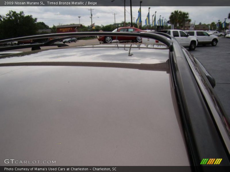 Tinted Bronze Metallic / Beige 2009 Nissan Murano SL