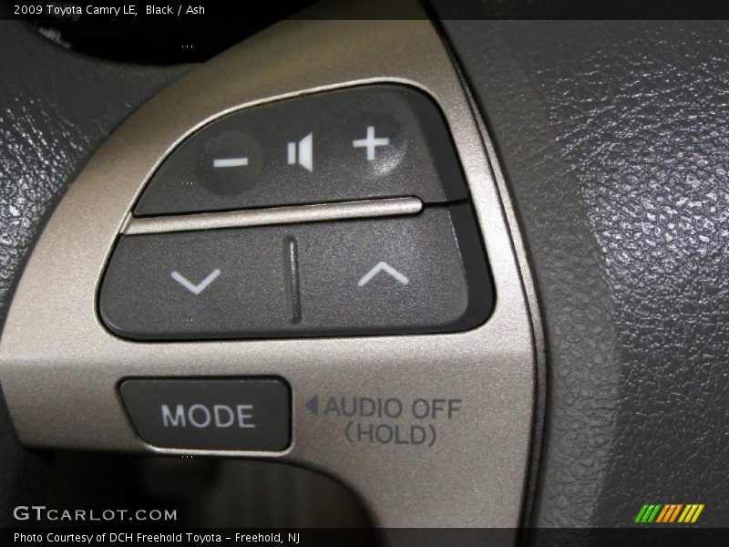 Black / Ash 2009 Toyota Camry LE