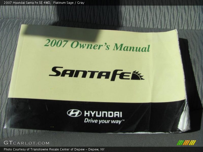 Platinum Sage / Gray 2007 Hyundai Santa Fe SE 4WD