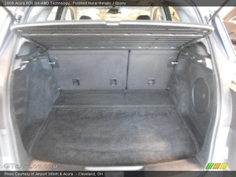 Polished Metal Metallic / Ebony 2009 Acura RDX SH-AWD Technology