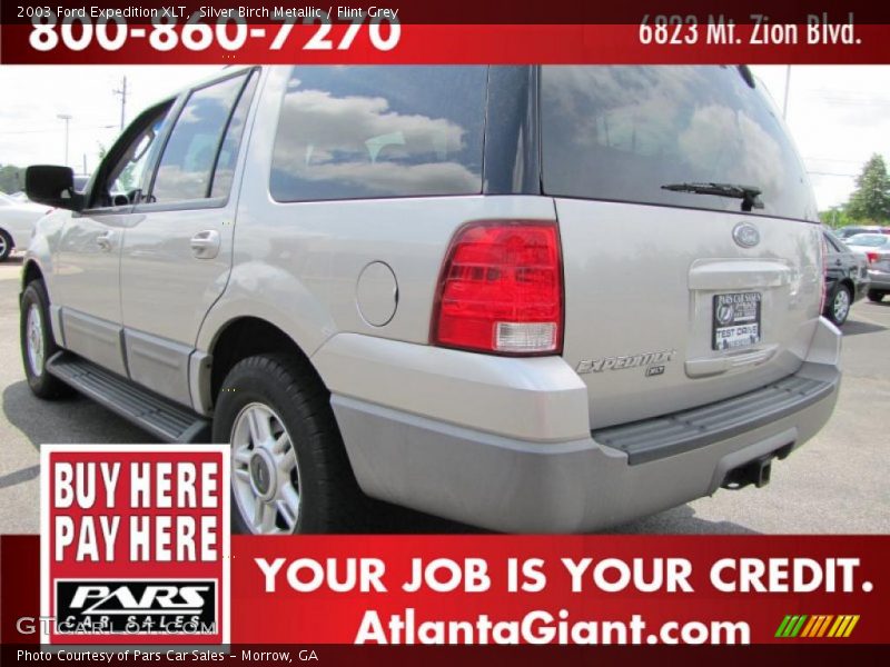 Silver Birch Metallic / Flint Grey 2003 Ford Expedition XLT