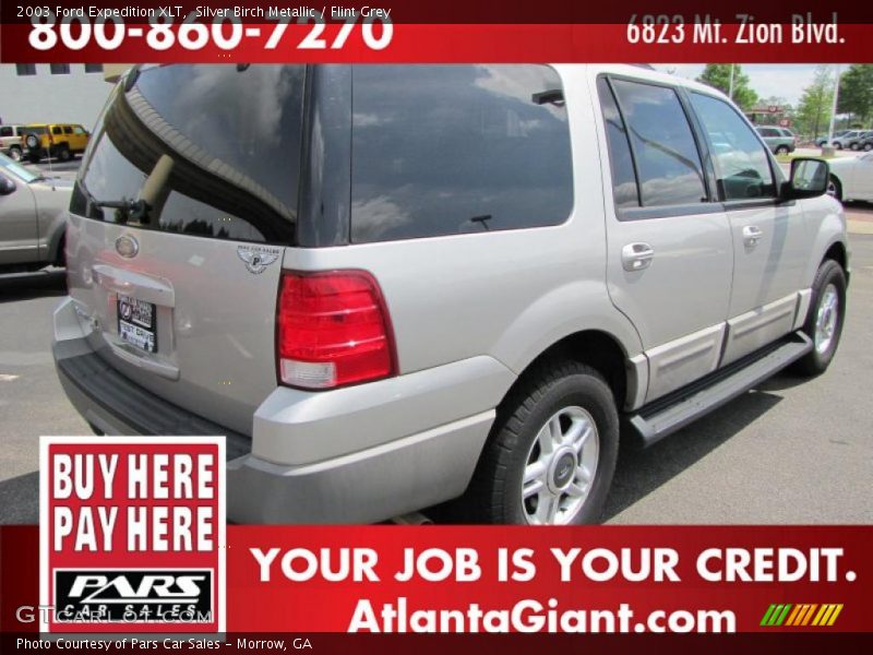Silver Birch Metallic / Flint Grey 2003 Ford Expedition XLT
