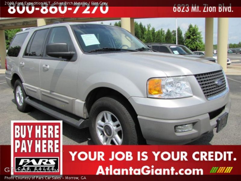 Silver Birch Metallic / Flint Grey 2003 Ford Expedition XLT