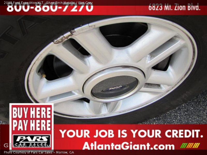 Silver Birch Metallic / Flint Grey 2003 Ford Expedition XLT