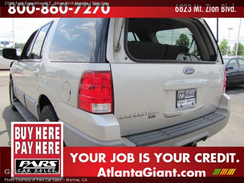 Silver Birch Metallic / Flint Grey 2003 Ford Expedition XLT