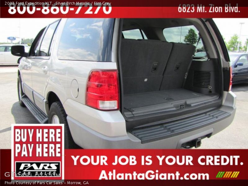 Silver Birch Metallic / Flint Grey 2003 Ford Expedition XLT