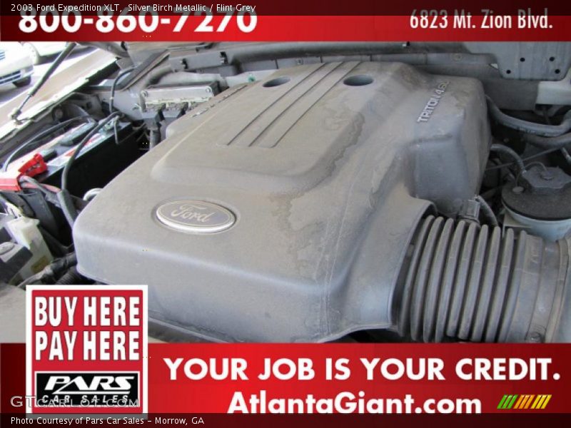 Silver Birch Metallic / Flint Grey 2003 Ford Expedition XLT