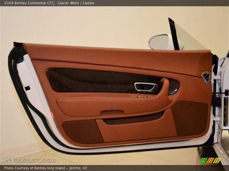 Door Panel of 2009 Continental GTC 