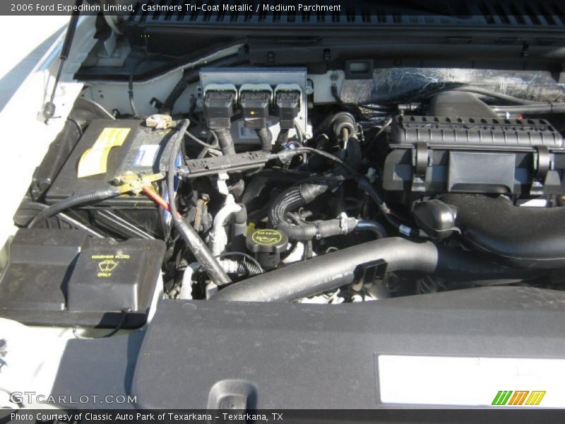 Cashmere Tri-Coat Metallic / Medium Parchment 2006 Ford Expedition Limited