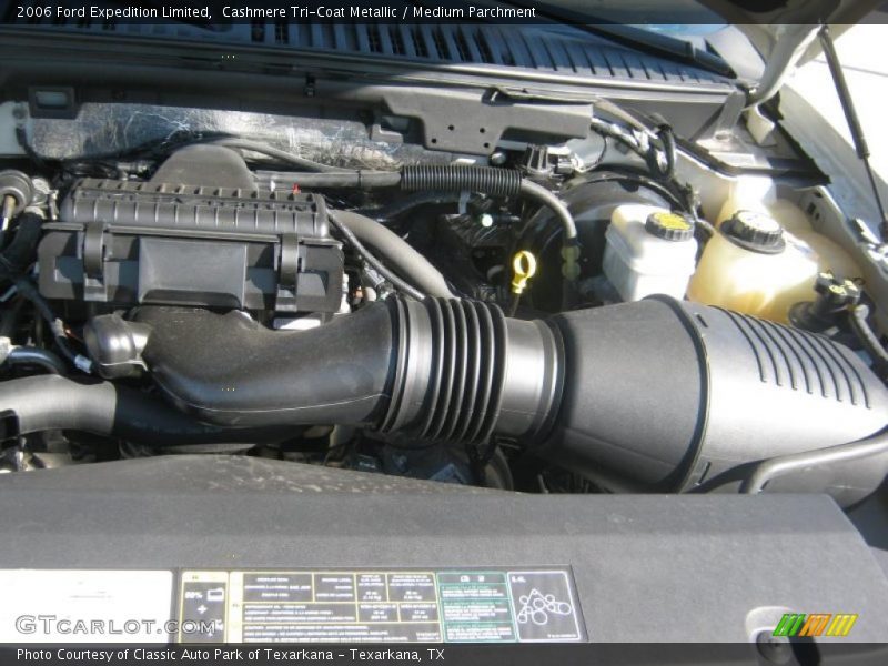 Cashmere Tri-Coat Metallic / Medium Parchment 2006 Ford Expedition Limited