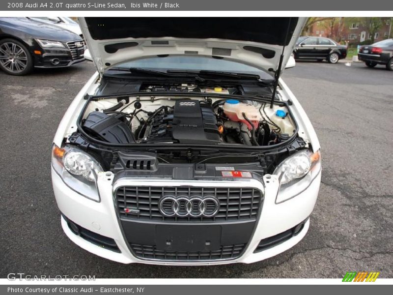 Ibis White / Black 2008 Audi A4 2.0T quattro S-Line Sedan