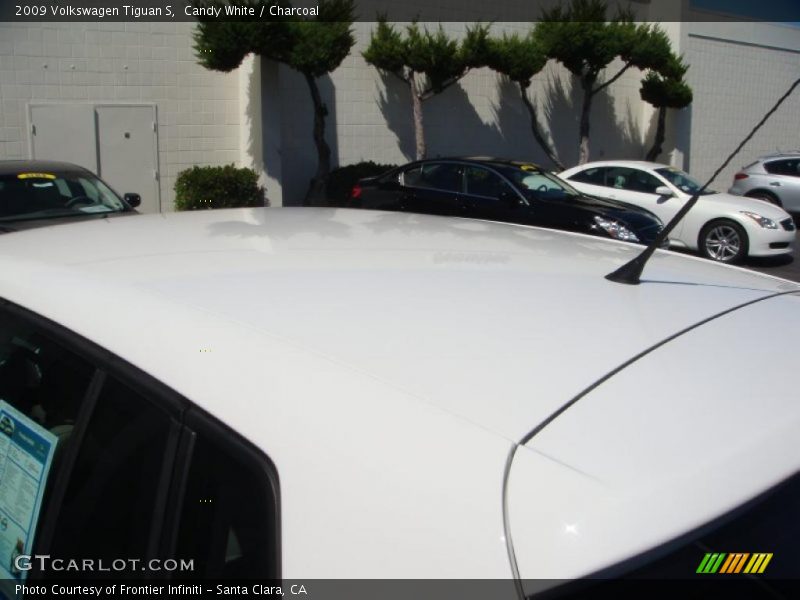 Candy White / Charcoal 2009 Volkswagen Tiguan S