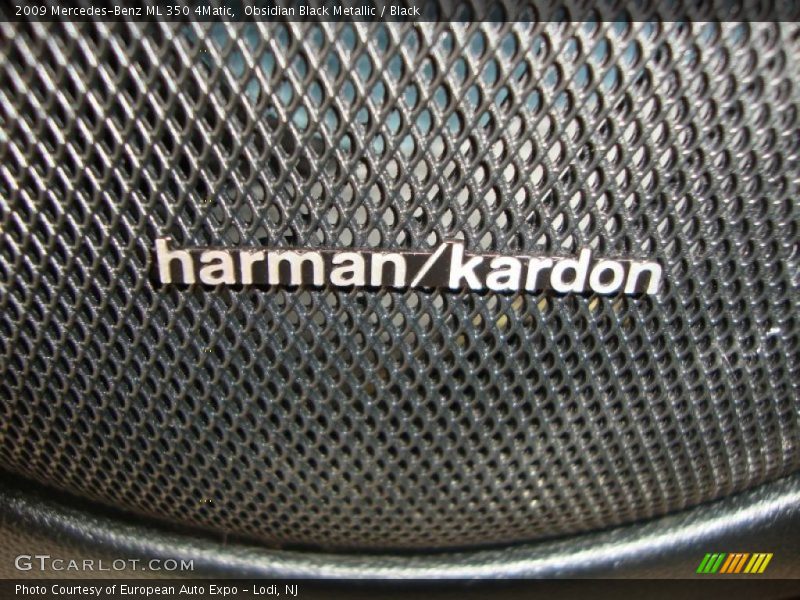 Obsidian Black Metallic / Black 2009 Mercedes-Benz ML 350 4Matic