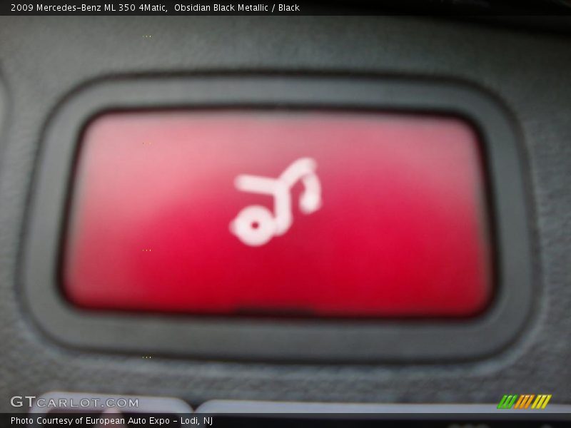 Obsidian Black Metallic / Black 2009 Mercedes-Benz ML 350 4Matic