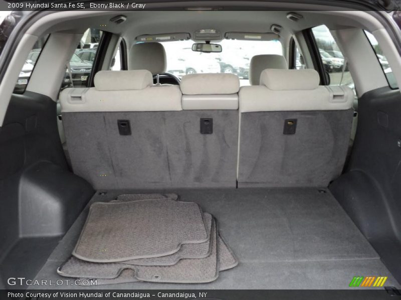 Ebony Black / Gray 2009 Hyundai Santa Fe SE