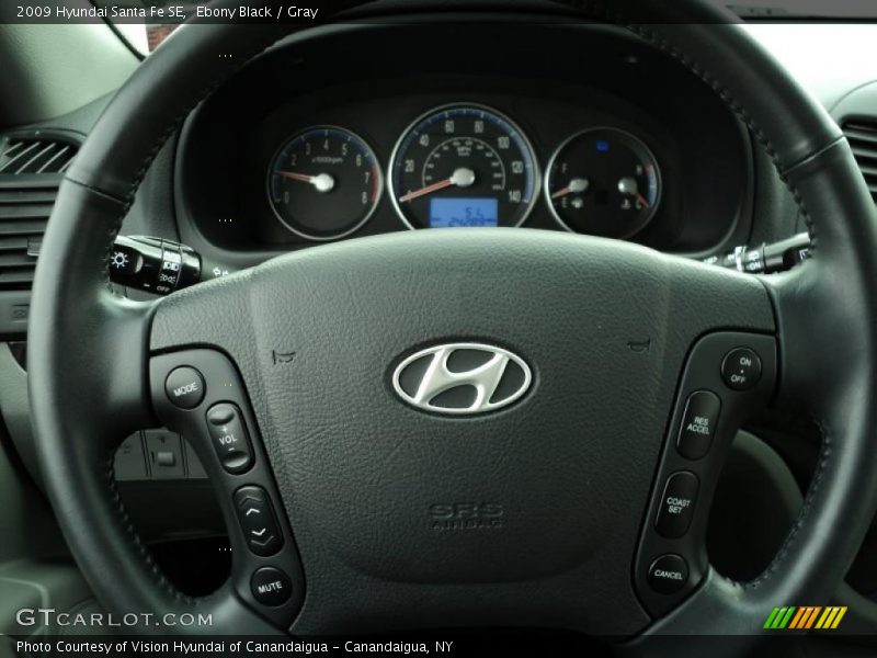 Ebony Black / Gray 2009 Hyundai Santa Fe SE