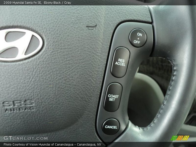 Ebony Black / Gray 2009 Hyundai Santa Fe SE