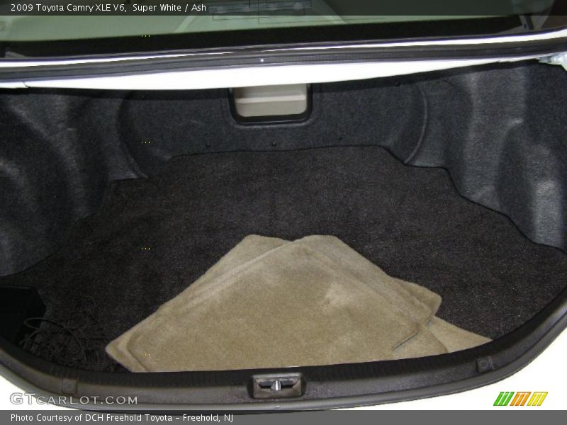 Super White / Ash 2009 Toyota Camry XLE V6