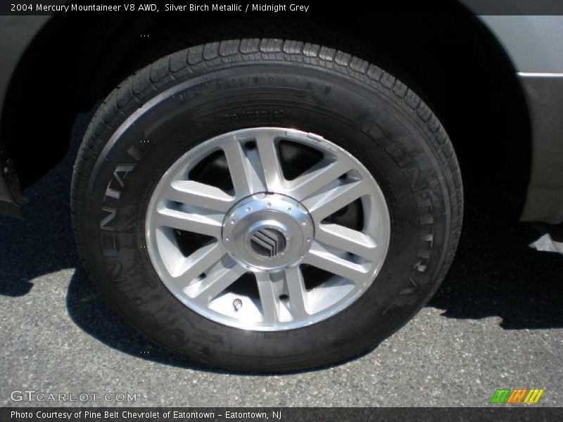 Silver Birch Metallic / Midnight Grey 2004 Mercury Mountaineer V8 AWD