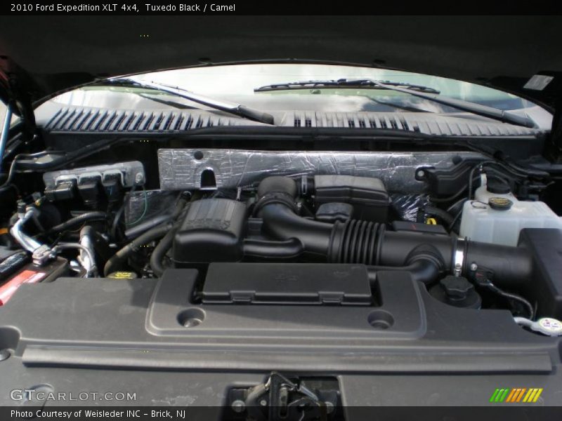 Tuxedo Black / Camel 2010 Ford Expedition XLT 4x4