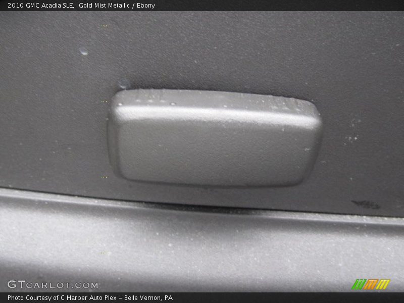 Gold Mist Metallic / Ebony 2010 GMC Acadia SLE