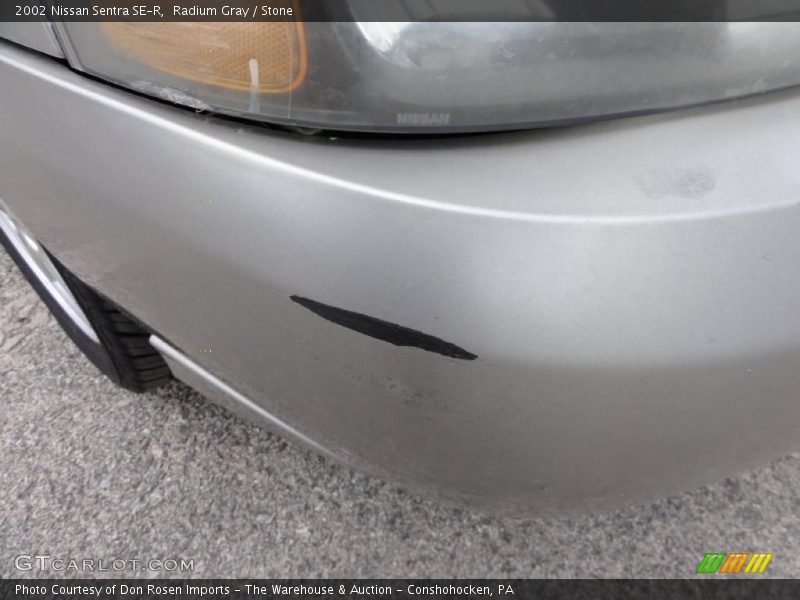 Radium Gray / Stone 2002 Nissan Sentra SE-R
