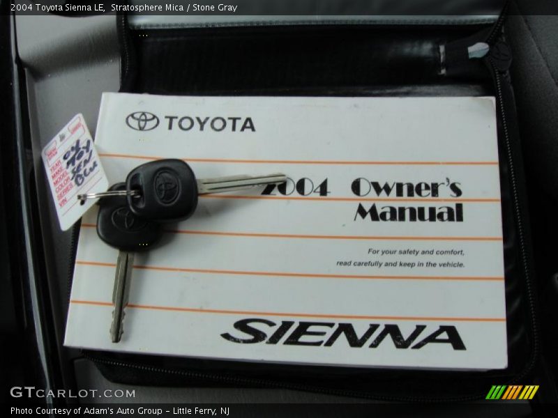 Stratosphere Mica / Stone Gray 2004 Toyota Sienna LE