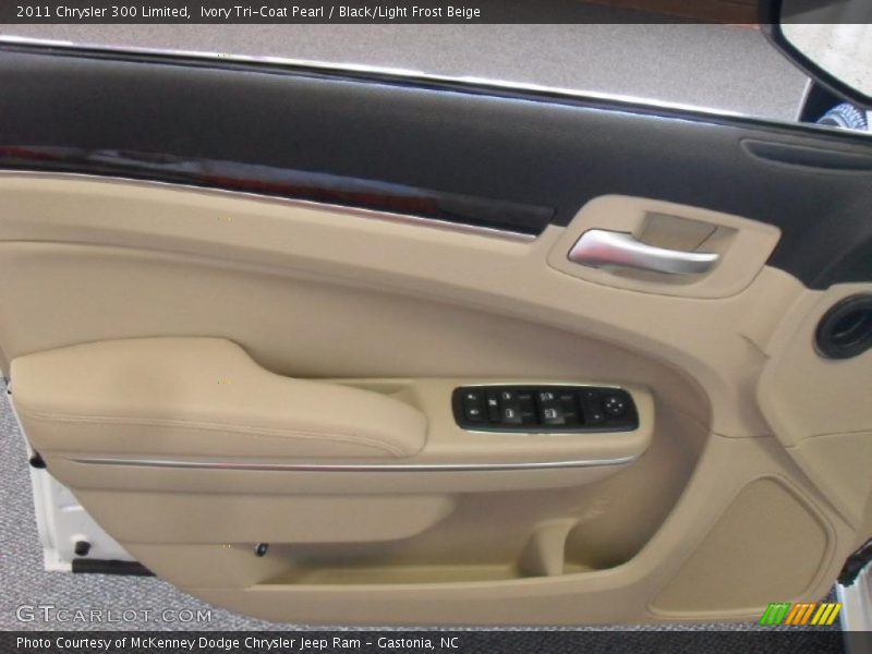 Door Panel of 2011 300 Limited