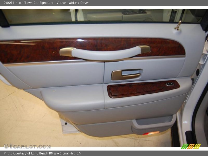 Door Panel of 2006 Town Car Signature
