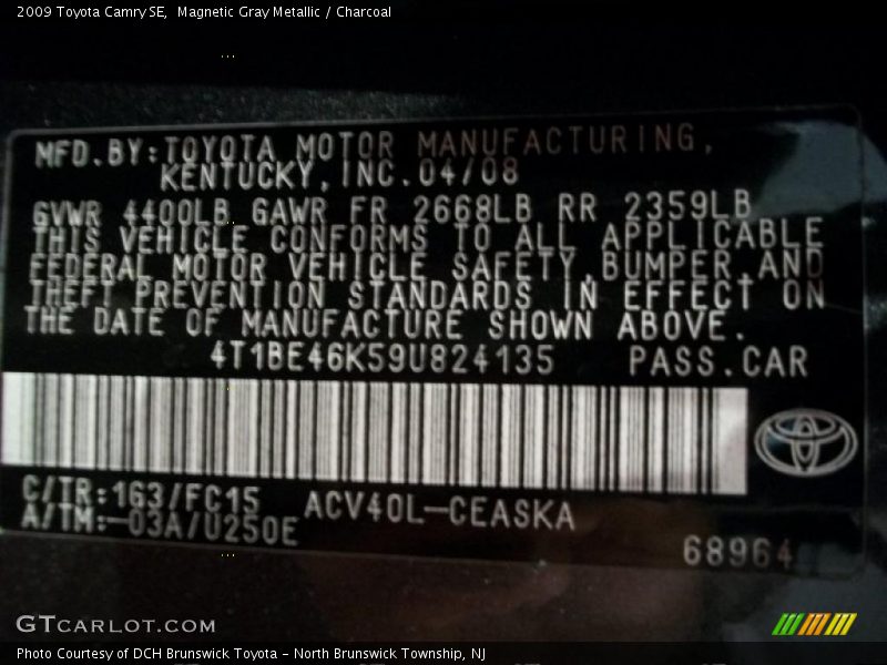 Magnetic Gray Metallic / Charcoal 2009 Toyota Camry SE