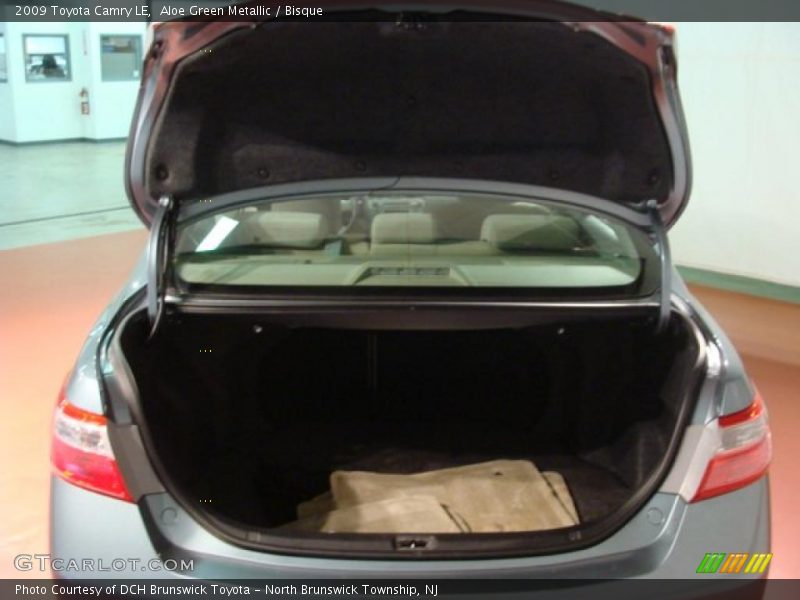 Aloe Green Metallic / Bisque 2009 Toyota Camry LE