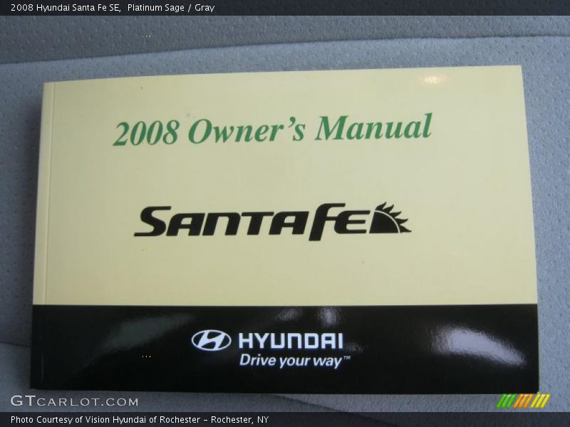 Platinum Sage / Gray 2008 Hyundai Santa Fe SE