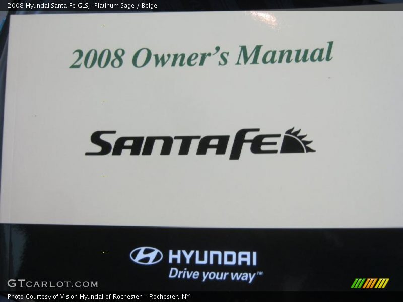 Platinum Sage / Beige 2008 Hyundai Santa Fe GLS