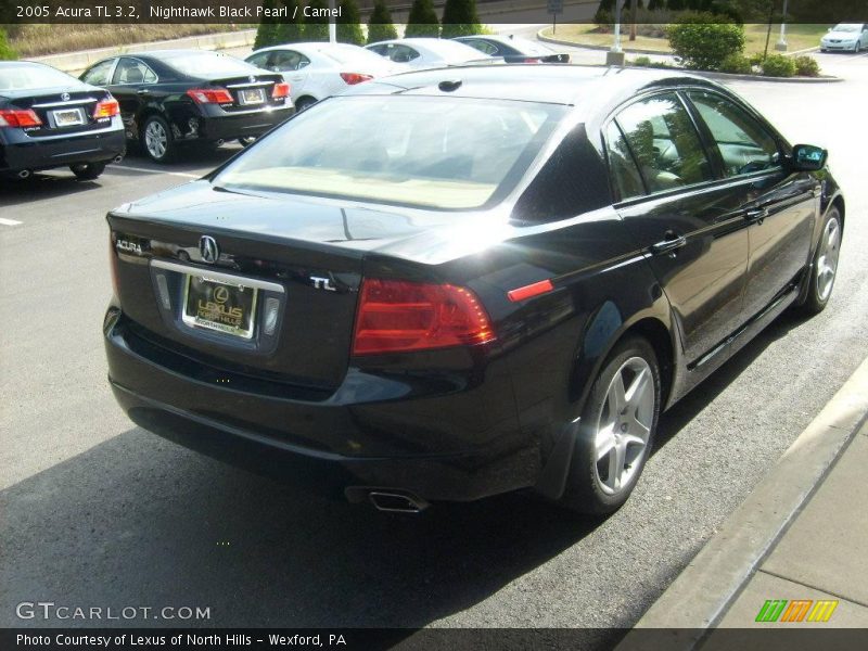 Nighthawk Black Pearl / Camel 2005 Acura TL 3.2