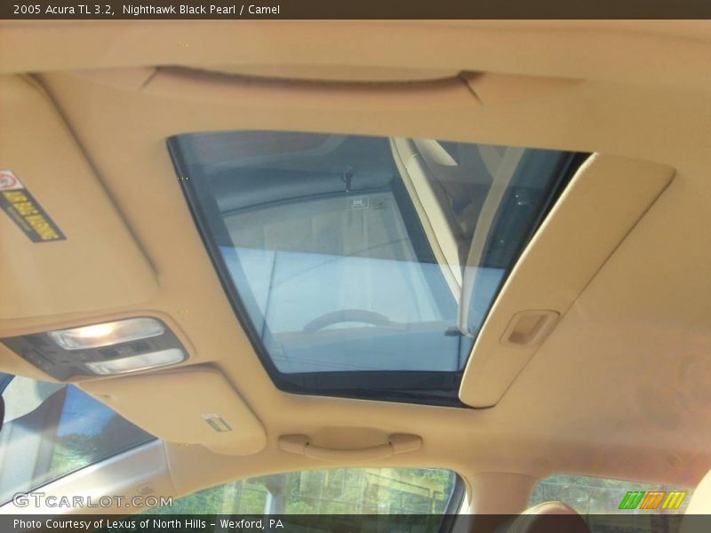 Nighthawk Black Pearl / Camel 2005 Acura TL 3.2