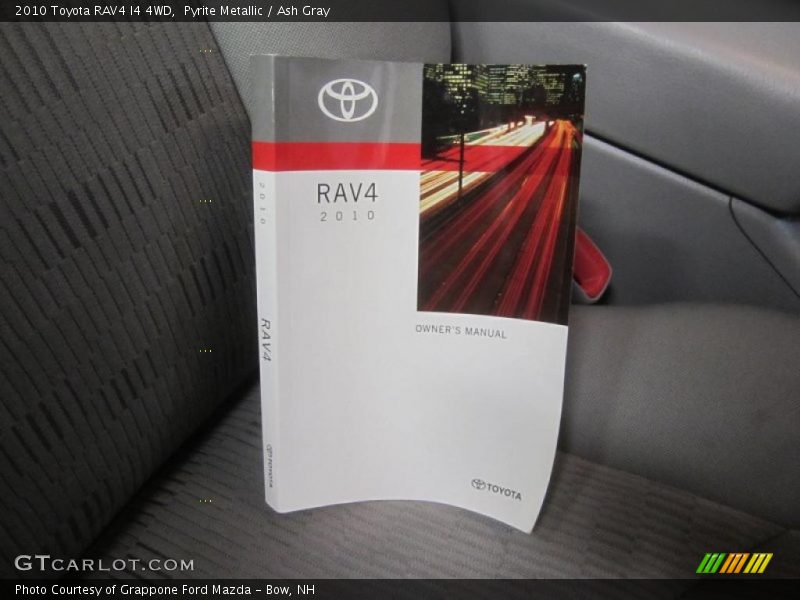 Pyrite Metallic / Ash Gray 2010 Toyota RAV4 I4 4WD