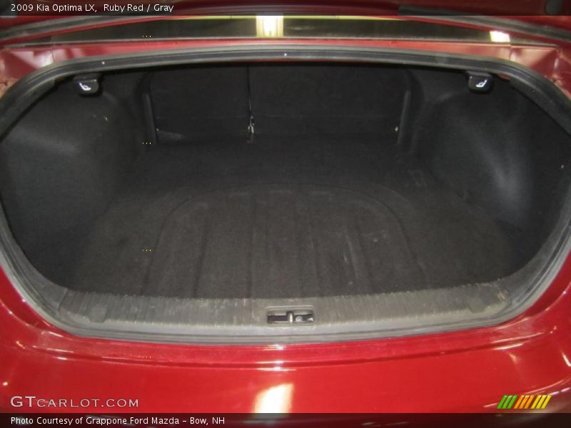 Ruby Red / Gray 2009 Kia Optima LX