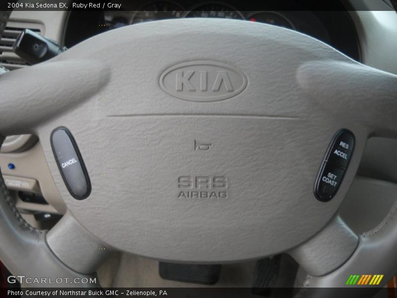 Ruby Red / Gray 2004 Kia Sedona EX