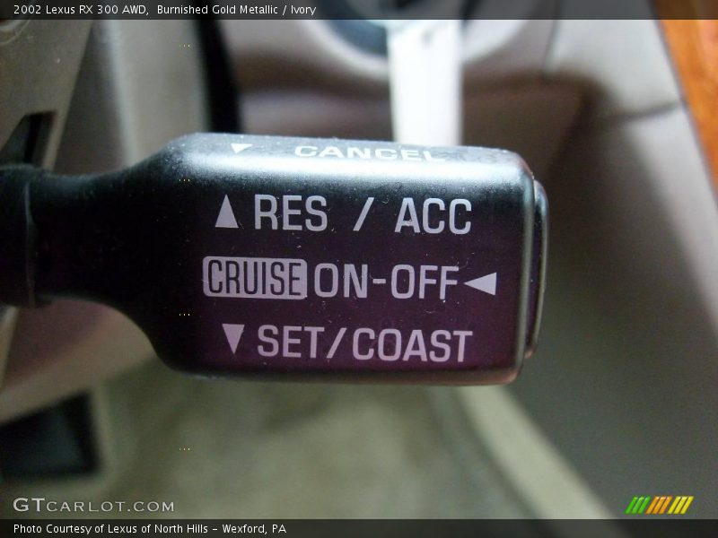 Burnished Gold Metallic / Ivory 2002 Lexus RX 300 AWD