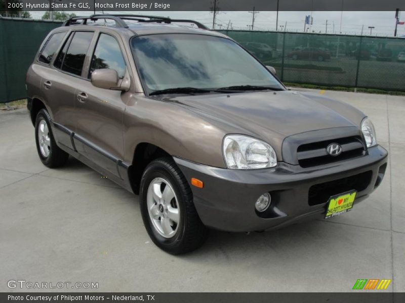 Mocha Frost Beige / Beige 2005 Hyundai Santa Fe GLS