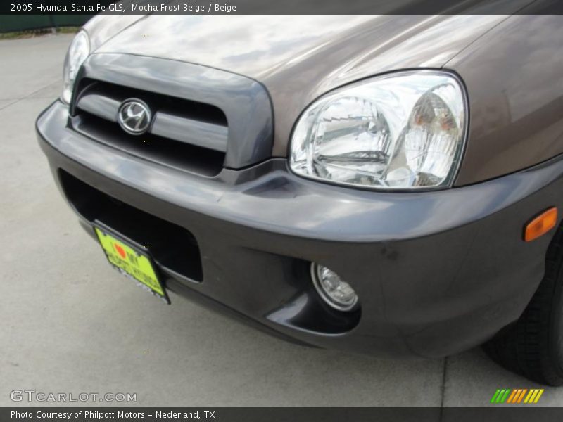 Mocha Frost Beige / Beige 2005 Hyundai Santa Fe GLS