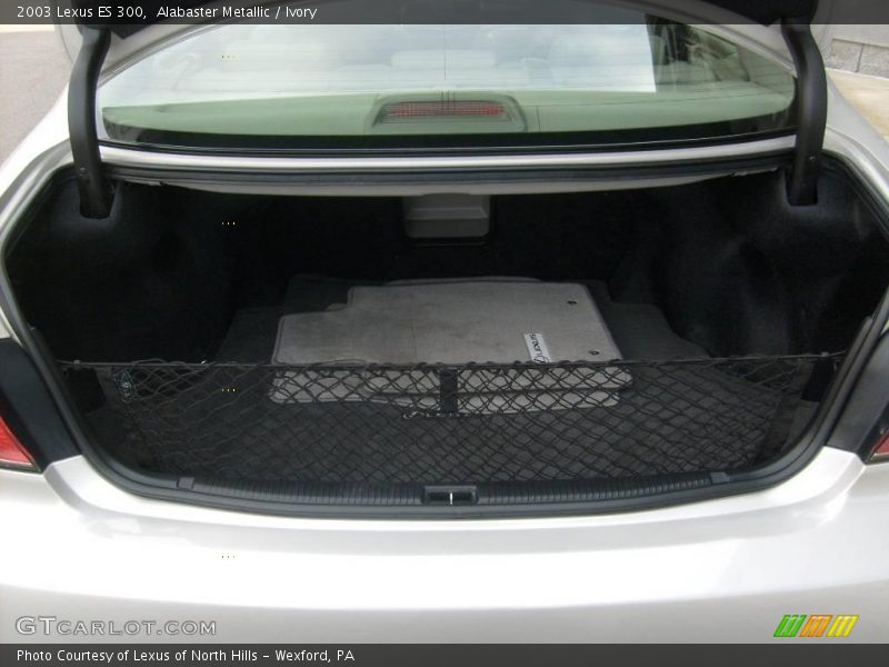 Alabaster Metallic / Ivory 2003 Lexus ES 300
