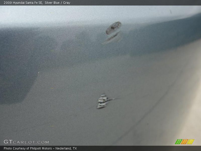Silver Blue / Gray 2009 Hyundai Santa Fe SE