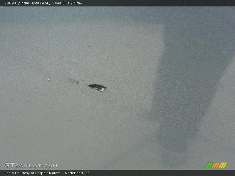 Silver Blue / Gray 2009 Hyundai Santa Fe SE